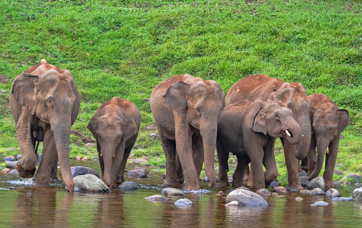 idukki tourist places